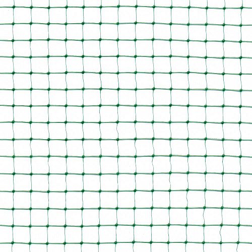 Ortoflex (scatola)