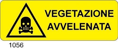 Vegetazione avvelenata - E - Alluminio 500x700 mm