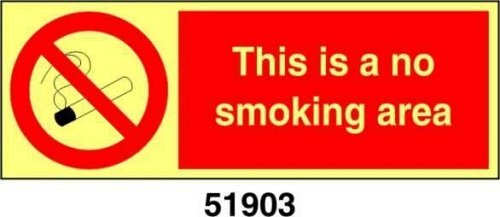 This is a no smoking area - B - ADL 300x100 mm