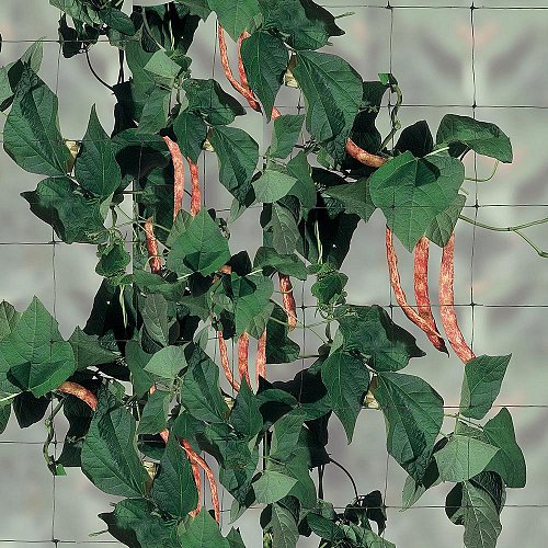 FLORA - Rete per rampicanti
