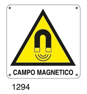 Campo magnetico