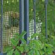 applicazione-pet-hobby-10-verde-gallery