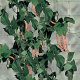 rete-per-ortaggi-rampicanti-flora-tenax-gallery