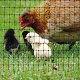 applicazione-animali-aviary-tenax-gallery